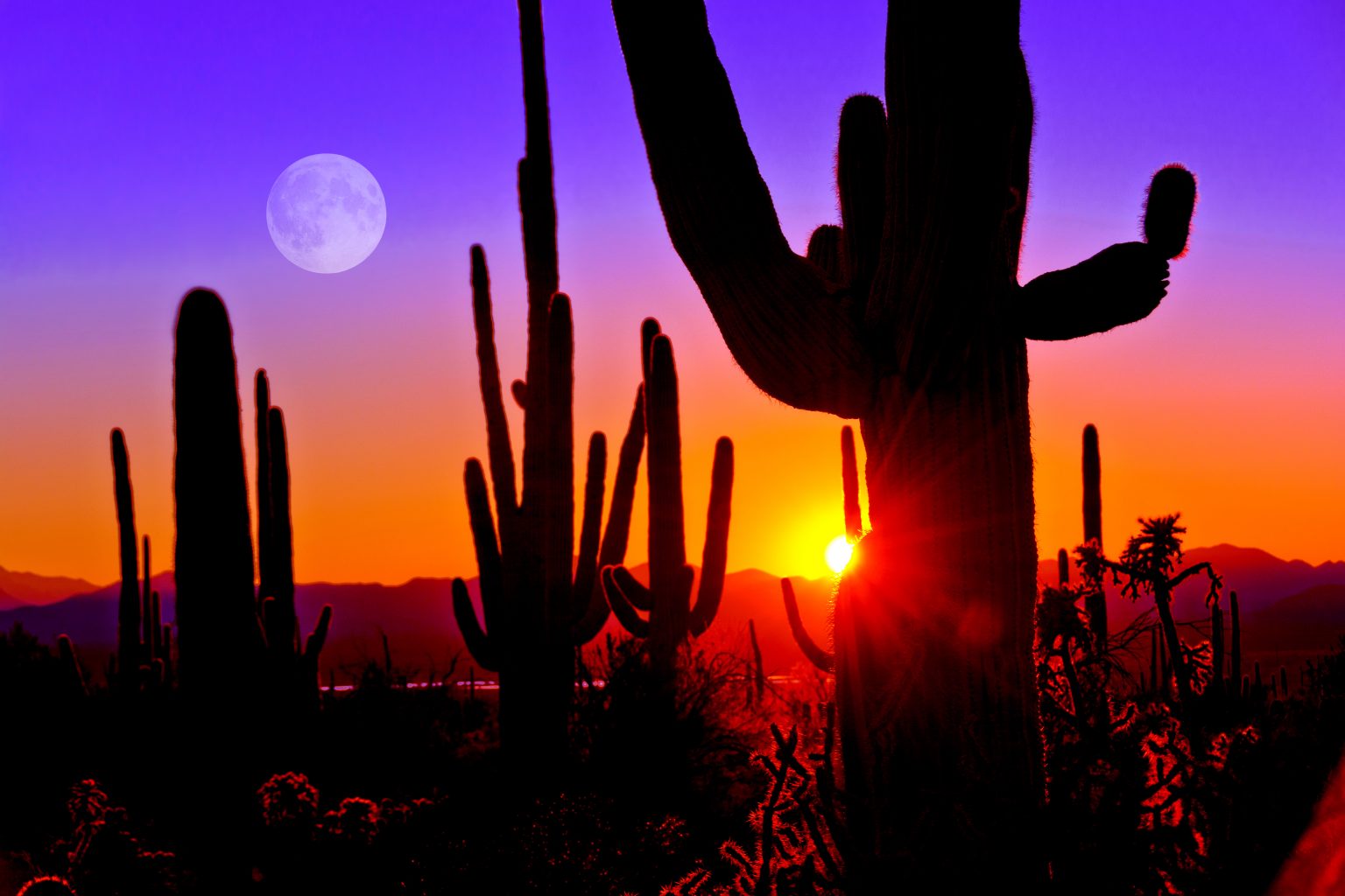 Things To Know Before Moving To Arizona Storage Solutions Blog