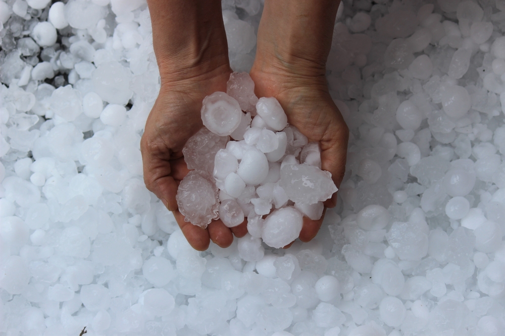 Hands holding a bunch of hail